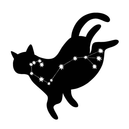 Black silhouette of a cat with the constellation Scorpioの写真素材