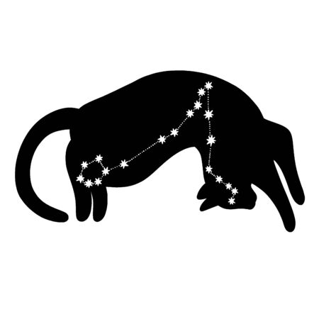 Black silhouette of a cat with the constellation Piscesの写真素材