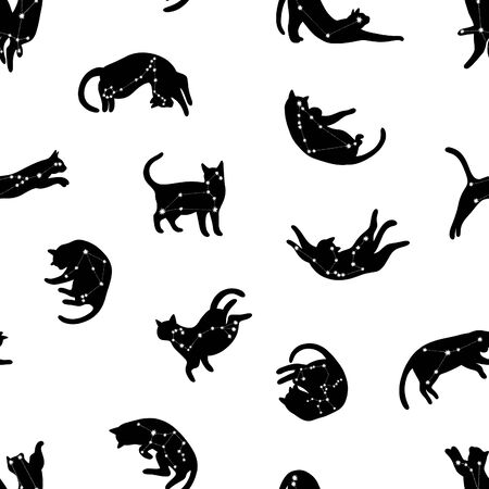 Seamless pattern with constellations ,stars and cats. Astronomical black and white background. Zodiac constellations pattern.の写真素材