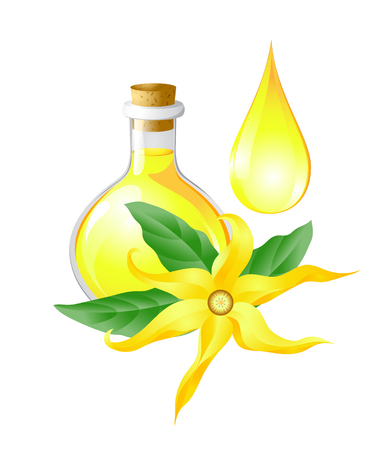 Ylang ylang flower drop and a bottle of oil of ylangのイラスト素材
