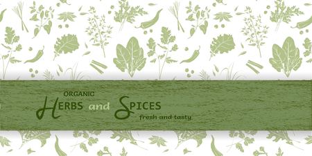 Herbs and spices. Fresh and tasty farm product. Concept of healthy and organic food. Design  poster, postcard, banner, invitation, menu. Vector illustrationのイラスト素材