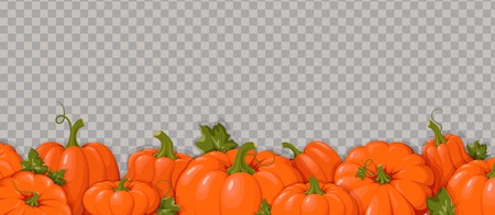 Pumpkins. Orange vegetable pumpkins. Horizontal border. Isolated vegetable and leaves. Template   invitations, congratulations, happy Thanksgiving, harvest festival, autumn poster design. Vector illustrationのイラスト素材