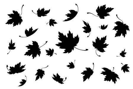 Maple leaves. Autumn background template with flying and falling leaves. Black silhouette. Isolated. Vectorのイラスト素材