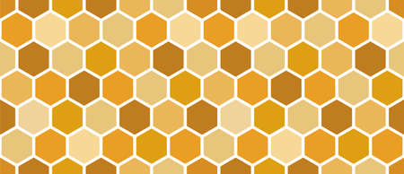 蜂の巣の写真 イラスト素材一覧 67 928件 ストックフォトのamanaimages Plus