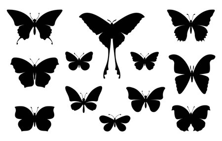 Butterfly. Set of various beautiful butterflies. Symbol of tropical fauna. Isolated black silhouette on white background. vector illustrationのイラスト素材