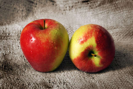 Two Jonagold Apples placed on a rough fabric.