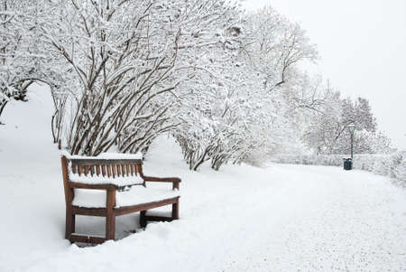 Park bench and trees covered by heavy snowの写真素材