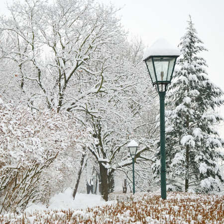 Street lamp and forest park in heavy snowの写真素材