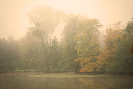 Moody autumn morning in a forest park with a calm pond waterの写真素材