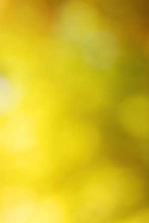 Abstract bright yellow bokeh backgroundの写真素材