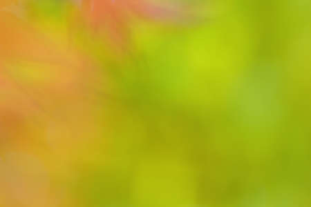 Abstract green bokeh background wallpaperの写真素材