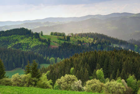 Green highland hills countryside with meadows and forestsの写真素材