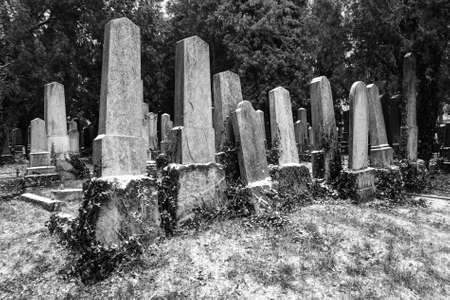 Ancient cemetery tombstones in winter in black and whiteの写真素材