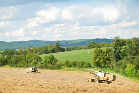 Two old harvesters working on a grain field in Augustの写真素材