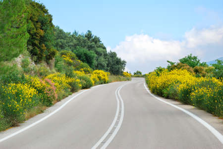 Winding tarmac road with blooming flowersの写真素材