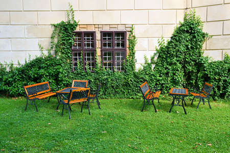 Garden with garden furniture in front of a wall overgrown by green ivy