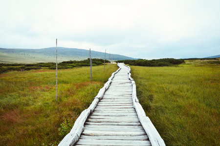 Wooden footbridge leading through mountain peat bogの写真素材