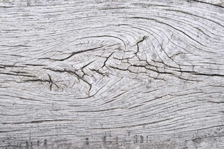 Old dry and blanched wood textureの写真素材