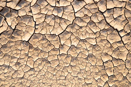Dry lifeless cracked soil texture in detailの写真素材