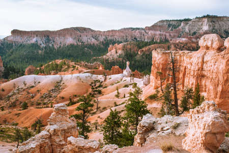 Bryce Canyon National Park,View of the horse trail, Utah, USA
