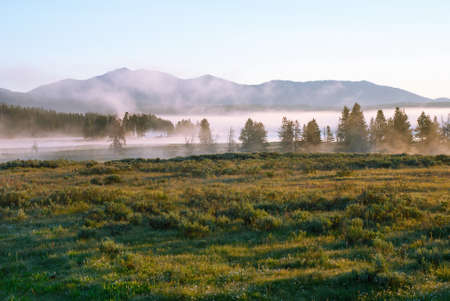 Early morning in the valley of the Yellowstone Riverの写真素材