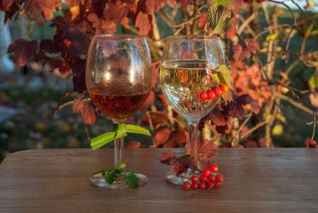 Two glasses of wine on a wooden table in autumn garden, Waushara County, Wisconsinの写真素材