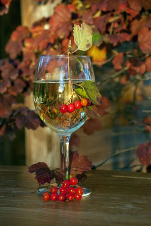 Glass of wine decorated with autumn leaves and berries, Waushara County, Wisconsinの写真素材