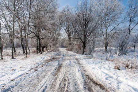 Small country road in winter with hoarfrost on trees and bushes