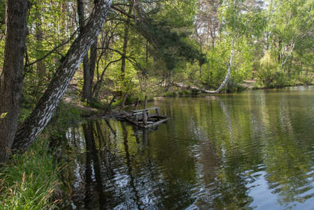 Old fishing bridge on the shore of the forest lakeの写真素材