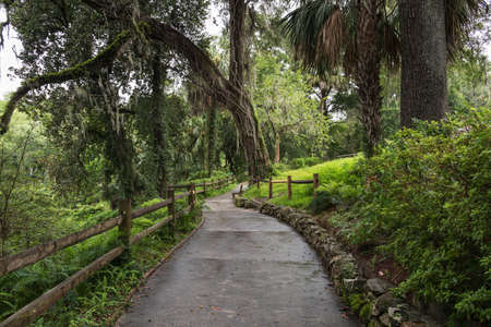 Central walkway of Rainbow Springs State Park after rain, Florida, USAの写真素材