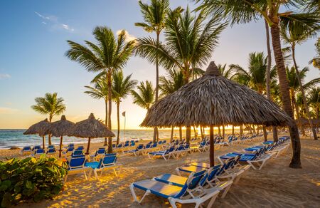 Tropical Beach Resort in Punta Cana, Dominican Republicの写真素材
