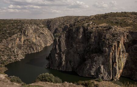 Scavenger birds land "Miranda do Douro", Portugal.の写真素材