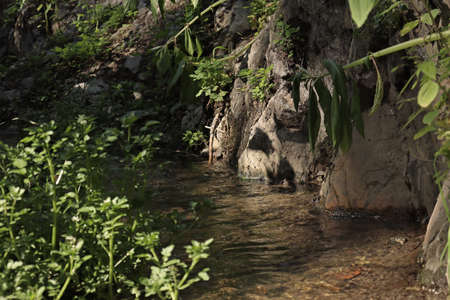 A stream flowing around a rock.の写真素材