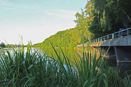 Path around the pond for hiking and biking.の写真素材