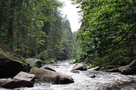 A river flowing through a mountain valley. This river Orlice begin in Poland and continues in to the Czech Republic.の写真素材