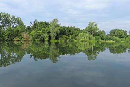 The shore of the pond early in the morning. The shore of the pond early in the morning. Trees and clouds are reflected in the calm water.の写真素材