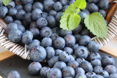 Scattered blueberries from a basket garnished with a piece of mint.の写真素材