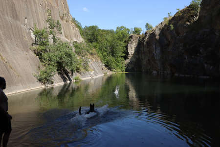 Dog running for fetch into the lake.の写真素材