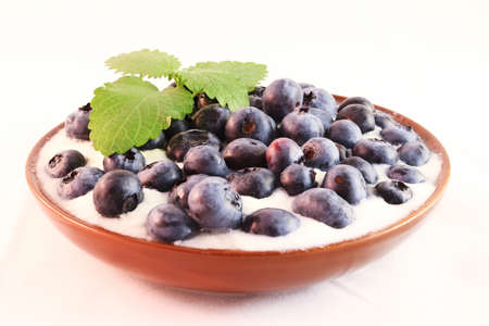 Closeup of blueberries in white, rular yogurt with brown bowl and piece of mint.の写真素材