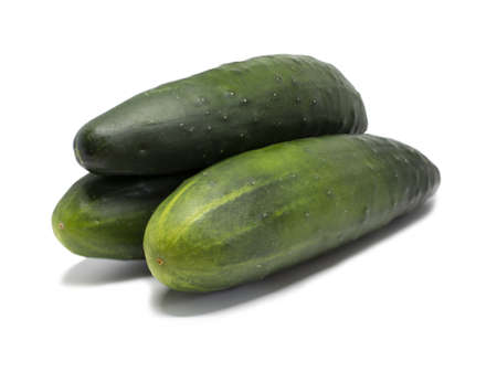 Three whole cucumbers stacked on top of each other.Completely clean. Ready for further processing.の写真素材