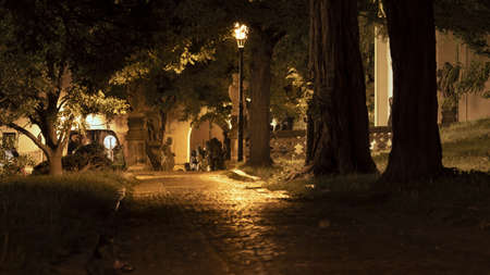 Night photo of an old path under the trees leading to the statues of angels.のeditorial素材