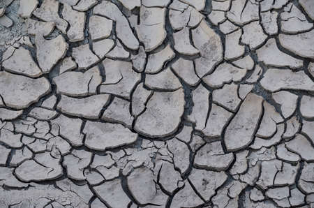 Textured background of cracked groundの写真素材