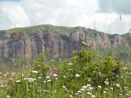 Outer tibetの写真素材