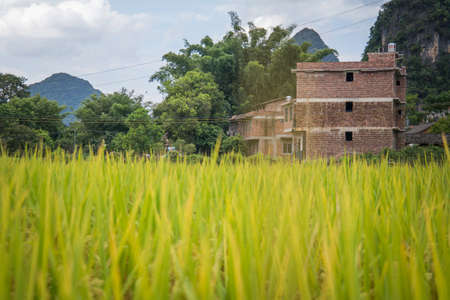 Li river in Yangshuo, next to Guilin, Guagxi province, Chinaの写真素材