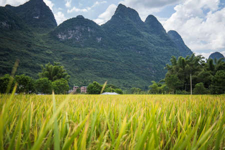 Li river in Yangshuo, next to Guilin, Guagxi province, Chinaの写真素材