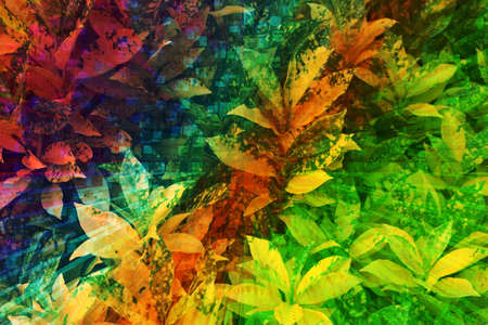 colorful leaves in refulgent backgroundの写真素材