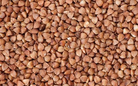 Background with dried buckwheat kernels on itの写真素材