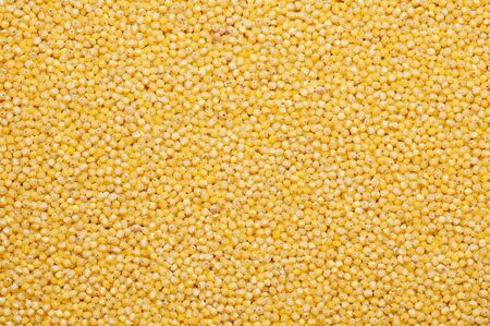 Background with dried yellow millet on itの写真素材