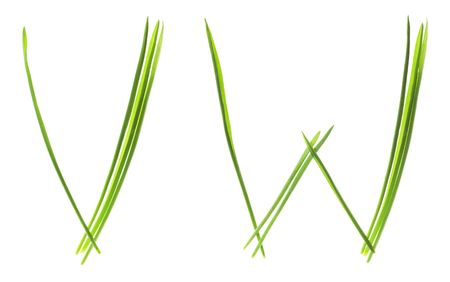 Ecological font. Letters made from grass blades isolated on whiteの写真素材