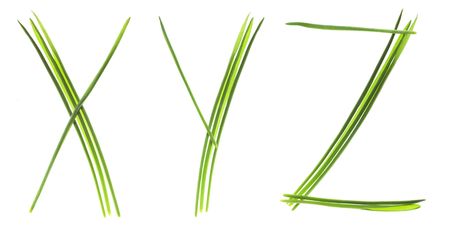 Ecological font. Letters made from grass blades isolated on whiteの写真素材